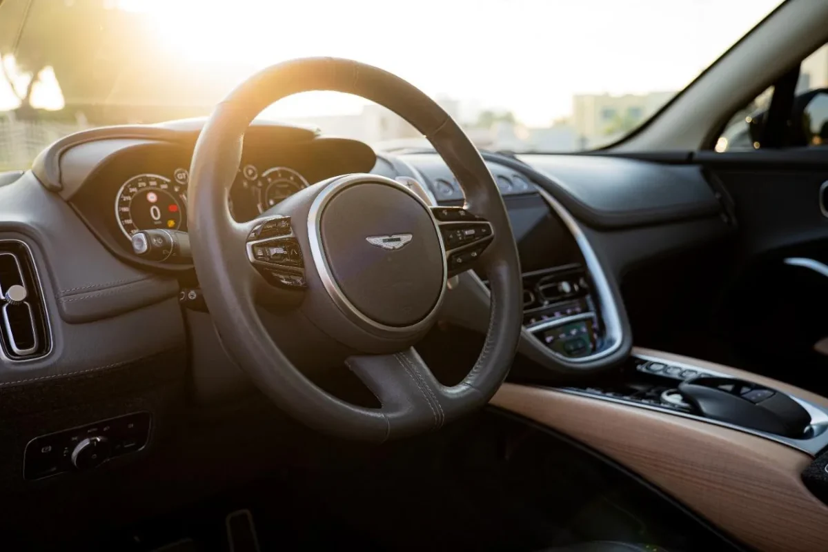 Aston Martin DBX (1)