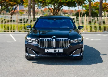 BMW 730 LI - 2022 img (2)
