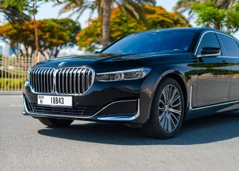 BMW 730 LI - 2022 img (5)