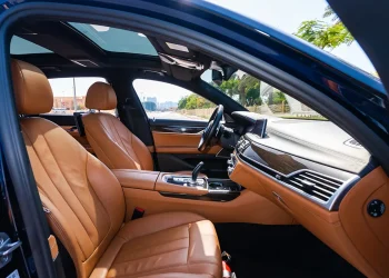 BMW 730 LI - 2022 img (9)