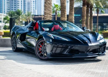 Chevrolet Corvette C8 Stingray Convertible (3)