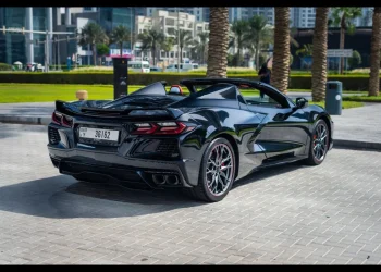 Chevrolet Corvette C8 Stingray Convertible (4)